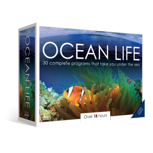 OCEAN LIFE [IMPORT]