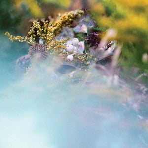 BEEDEEGEE  - SUM/ONE