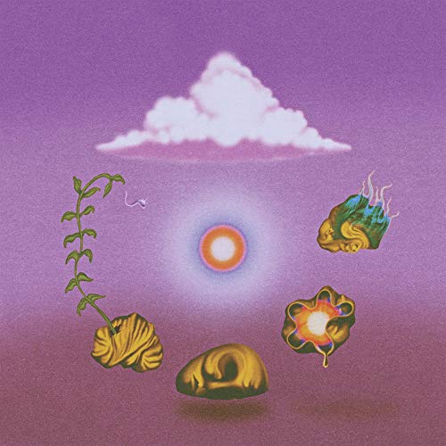 EVOLFO - SITE OUT OF MIND (CD)