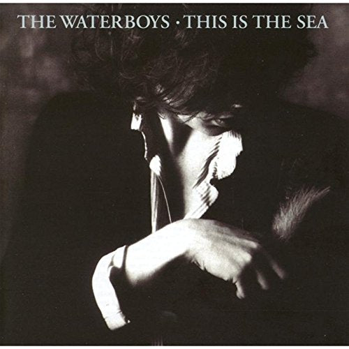 WATERBOYS - THIS IS THE SEA