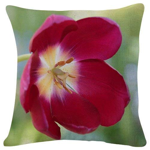 DHF016974S ROSE DEWDROPS - FLOWER- #28786 - PLUSH CUSHION COVERS THROW PILLOWCASES SUPER SOFT FASHION SIMPLE 18X18 INCH FOR DECORATION BEDROOM SOFA (CD)
