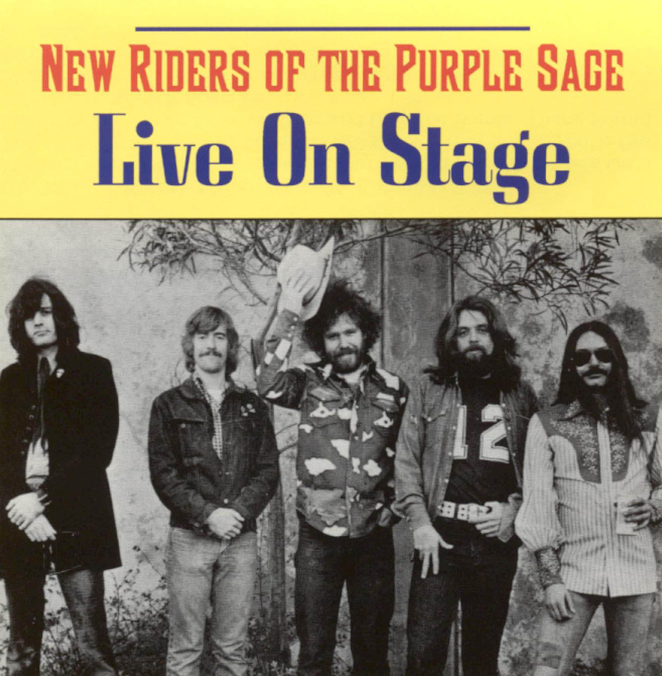NEW RIDERS OF THE PURPLE SAGE  - LIVE