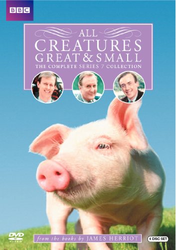 ALL CREATURES....SEASON 7 [IMPORT]