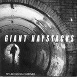 GIANT HAYSTACKS  - WE ARE BEING OBSERVED