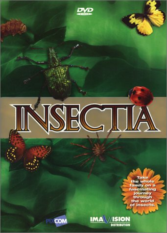 INSECTIA [IMPORT]