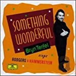 TERFEL, BRYN - SOMETHING WONDERFUL