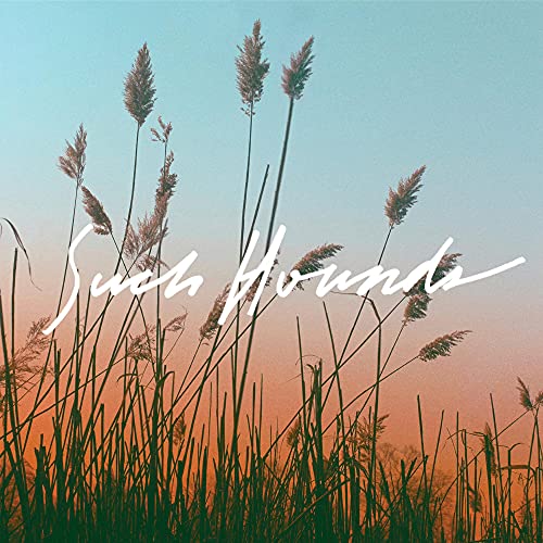 SUCH HOUNDS - I HATE SUMMER (VINYL)