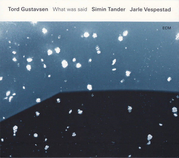 GUSTAVSEN, TORD  - WHAT WAS SAID