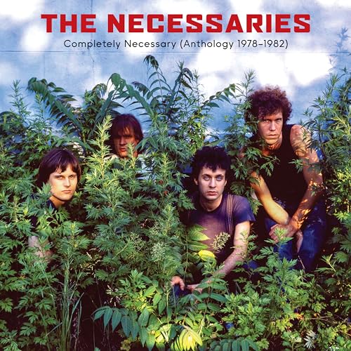 NECESSARIES, THE - COMPLETELY NECESSARY (ANTHOLOGY 1978-1982) (CD)