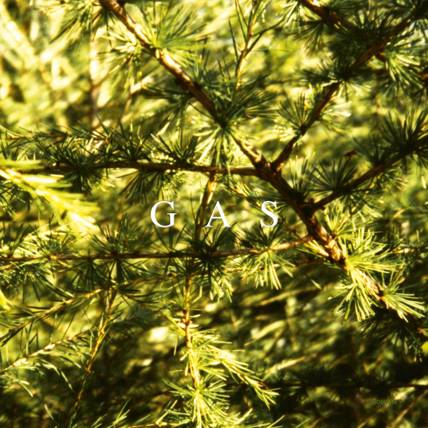 GAS  - POP