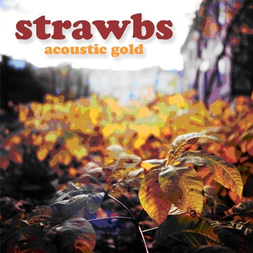 STRAWBS - ACOUSTIC GOLD