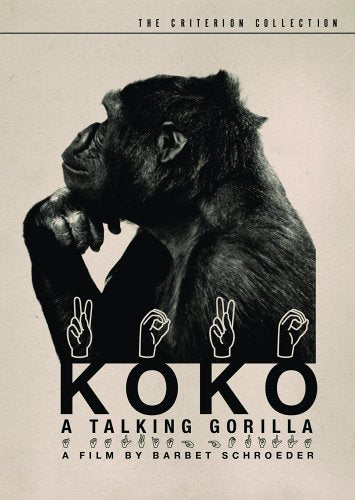 KOKO: A TALKING GORILLA (CRITERION COLLECTION)