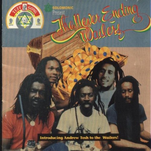 WAILERS - NEVER ENDING WAILERS