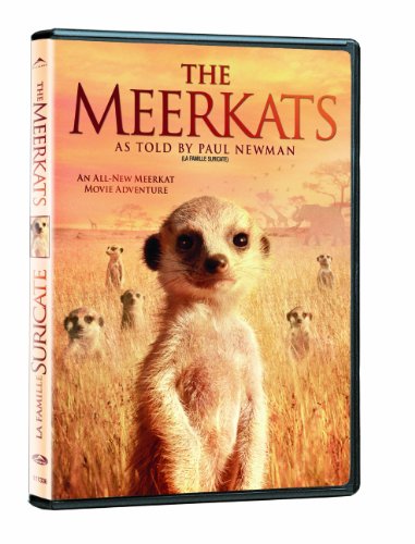 MEERKATS