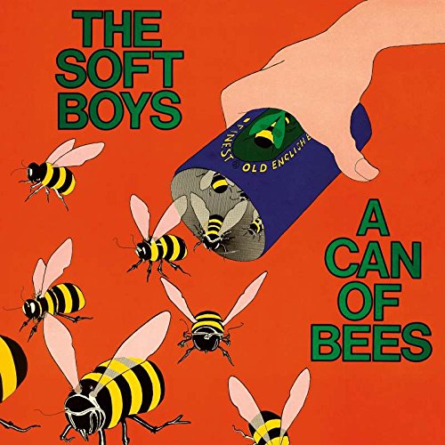 THE SOFT BOYS - A CAN OF BEES