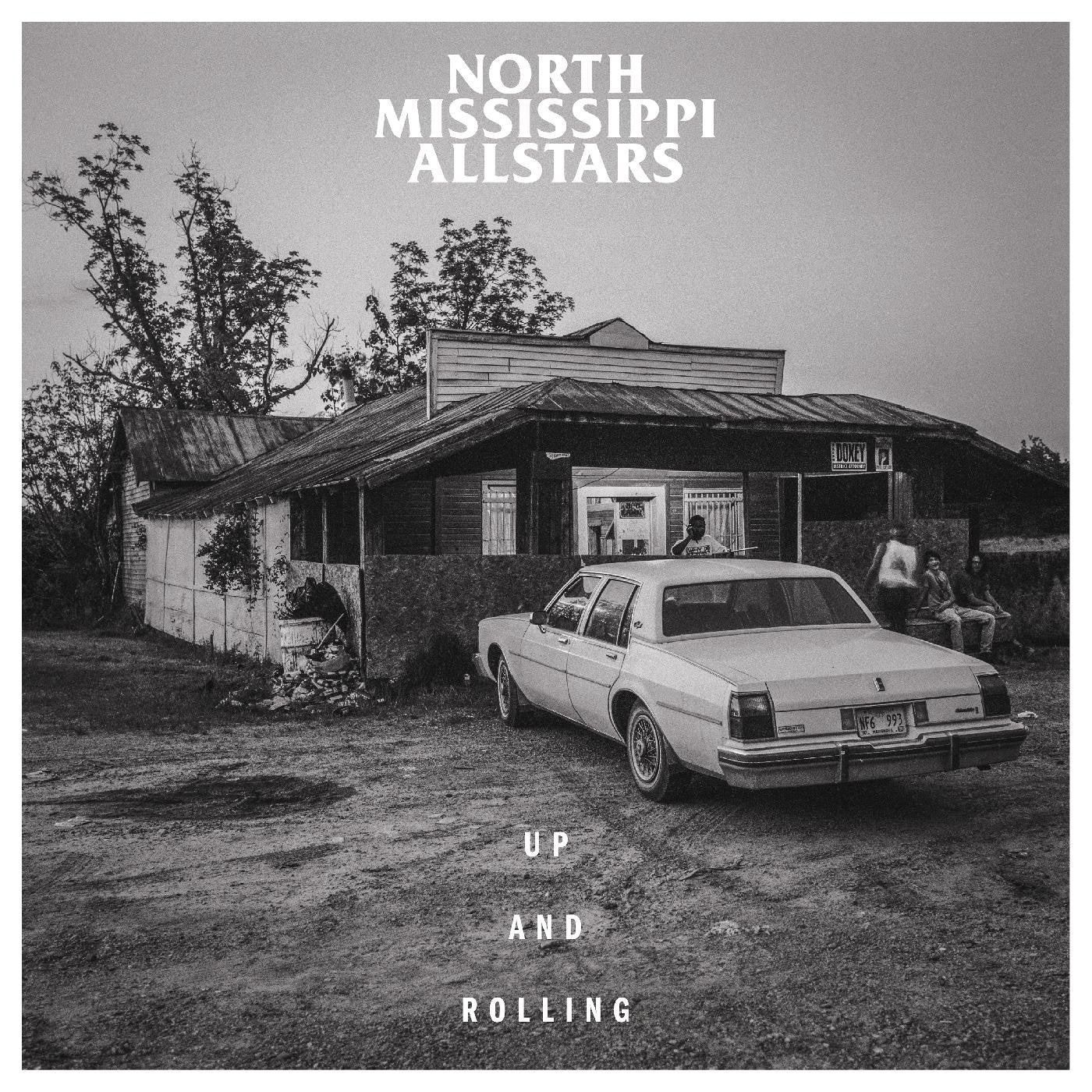 NORTH MISSISSIPPI ALLSTARS - UP AND ROLLING (SEA GLASS SMOKE VINYL)