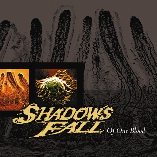 SHADOWS FALL - OF ONE BLOOD