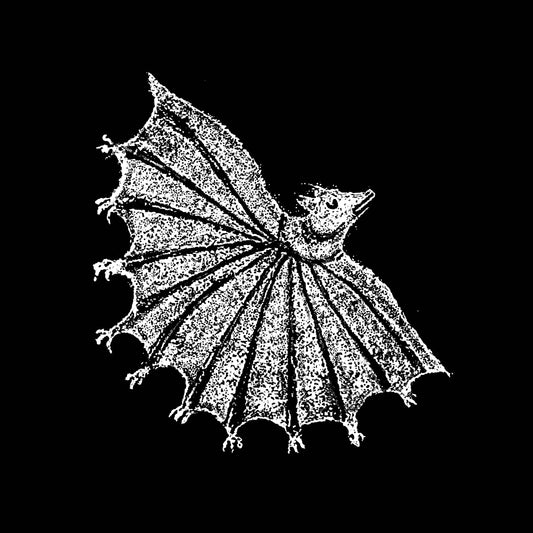 XIU XIU  - IGNORE GRIEF