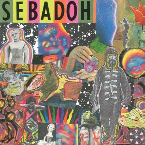 SEBADOH - SMASH YOUR HEAD ON THE PUNK ROCK