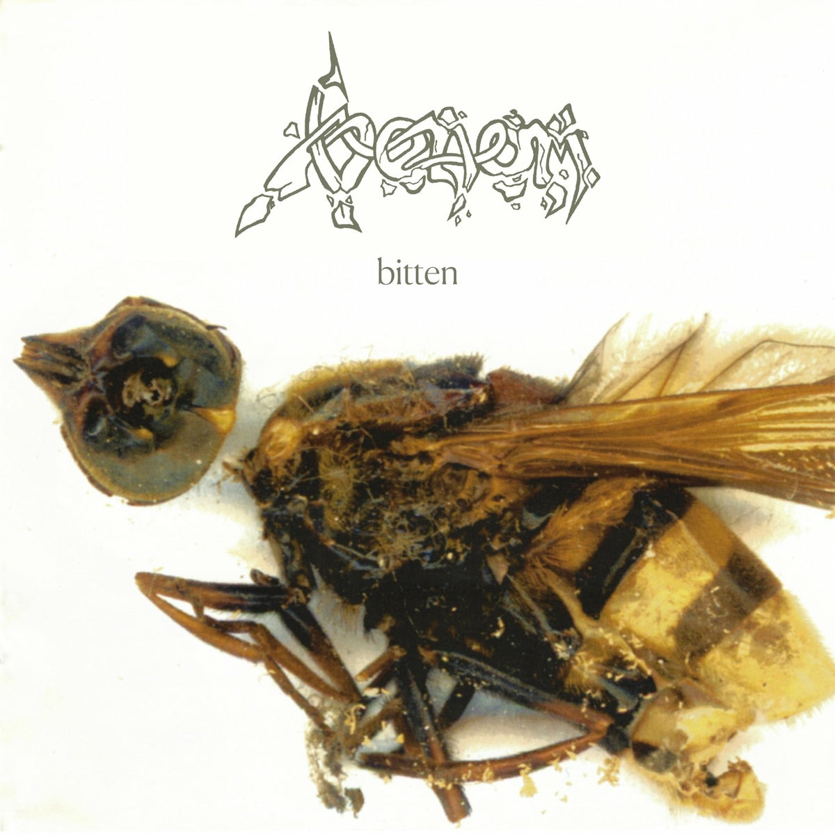 VENOM  - BITTEN: LIVE