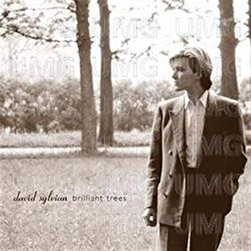 SYLVIAN,DAVID - BRILLIANT TREES