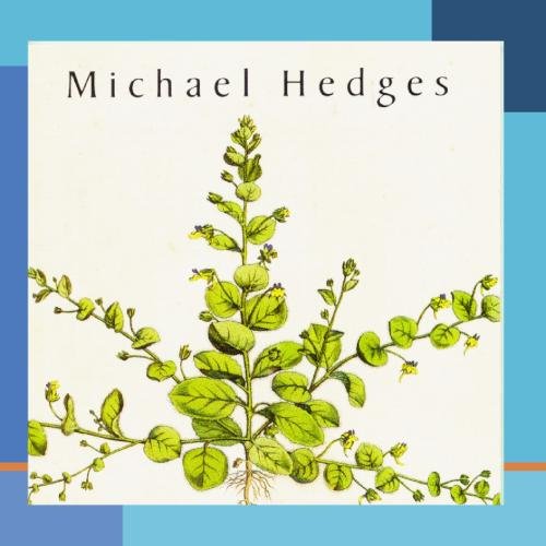 HEDGES, MICHAEL - TAPROOT