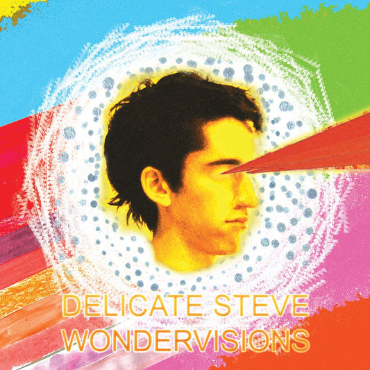DELICATE STEVE  - WONDERVISIONS