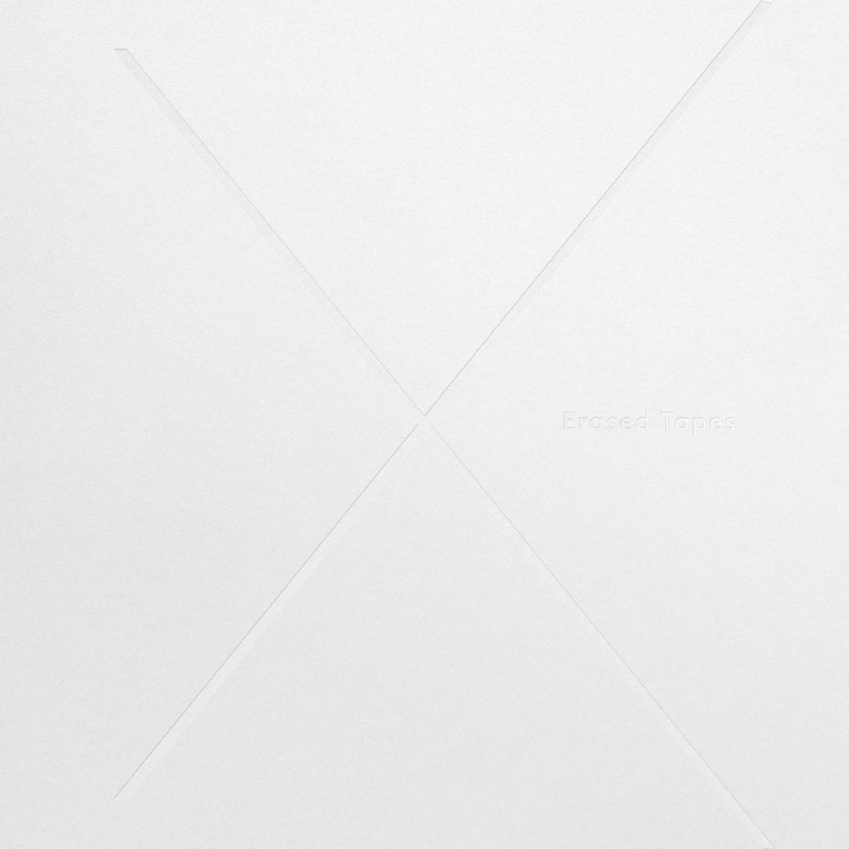 VARIOUS ARTISTS - 1+1=X