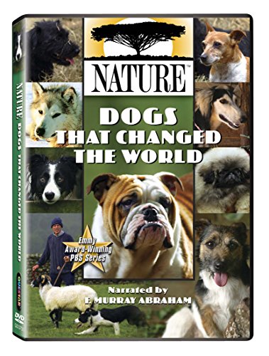 NATURE: DOGS THAT CHANGED THE WORLD