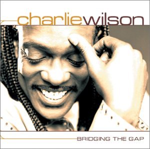 WILSON, CHARLES - BRIDGING THE GAP