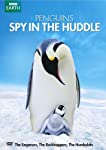 PENGUINS - SPY IN THE HUDDLE