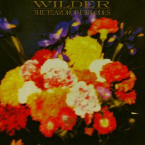 TEARDROP EXPLODES - WILDER [REMASTERED]