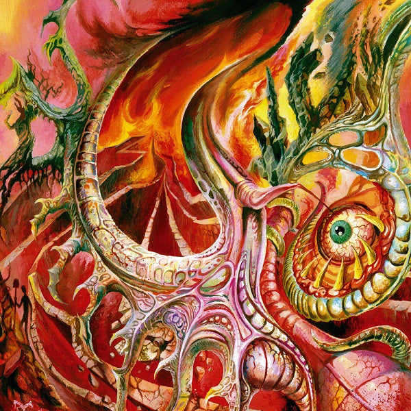 MORBUS CHRON  - SLEEPERS IN THE RIFT