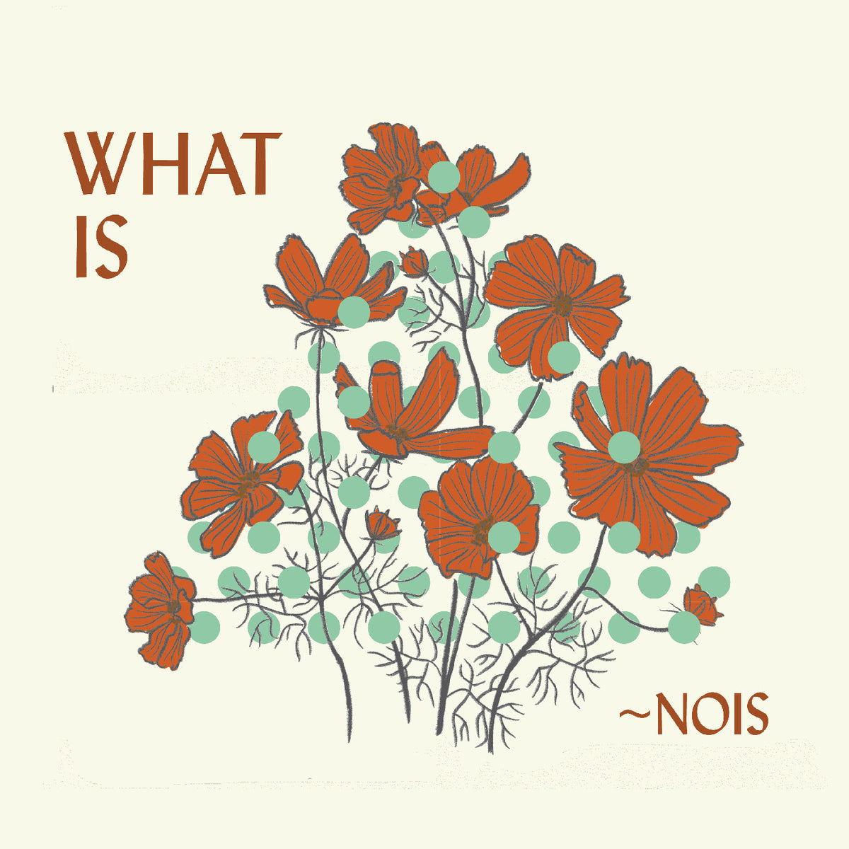 ~NOIS - WHAT IS ~NOIS?