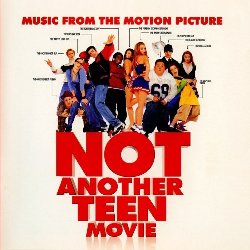 VARIOUS ARTISTS - NOT ANOTHER TEEN MOVIE