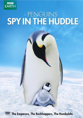 PENGUINS - SPY IN THE HUDDLE