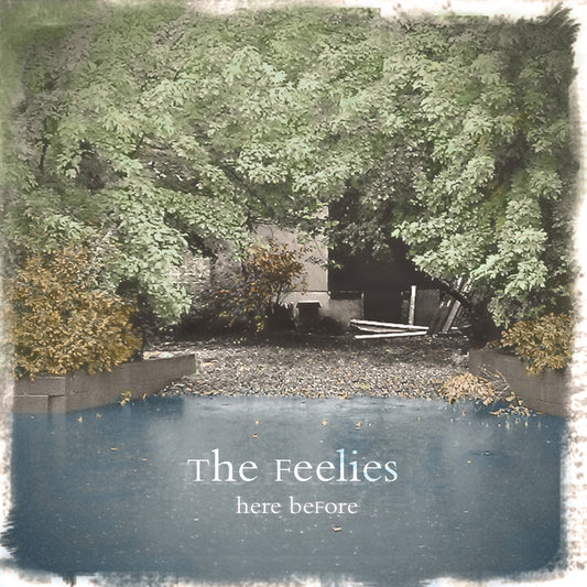 FEELIES  - HERE BEFORE