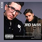 3RD BASS - ICON