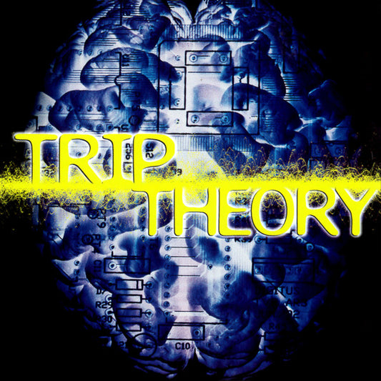 TRIP THEORY  - SOMETHING FOR YOUR MIND