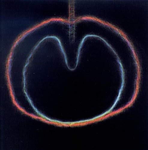 XTC - WASP STAR: APPLE VENUS VOL.2