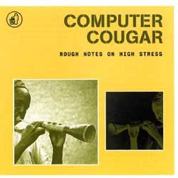 COMPUTER COUGAR  - ROUGH NOTES ON HIGH STRESS