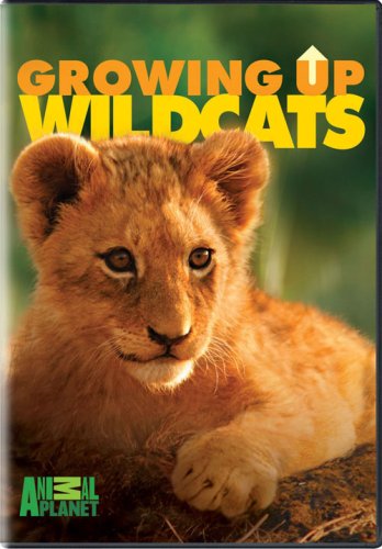 ANIMAL PLANET: GROWING UP WILDCATS