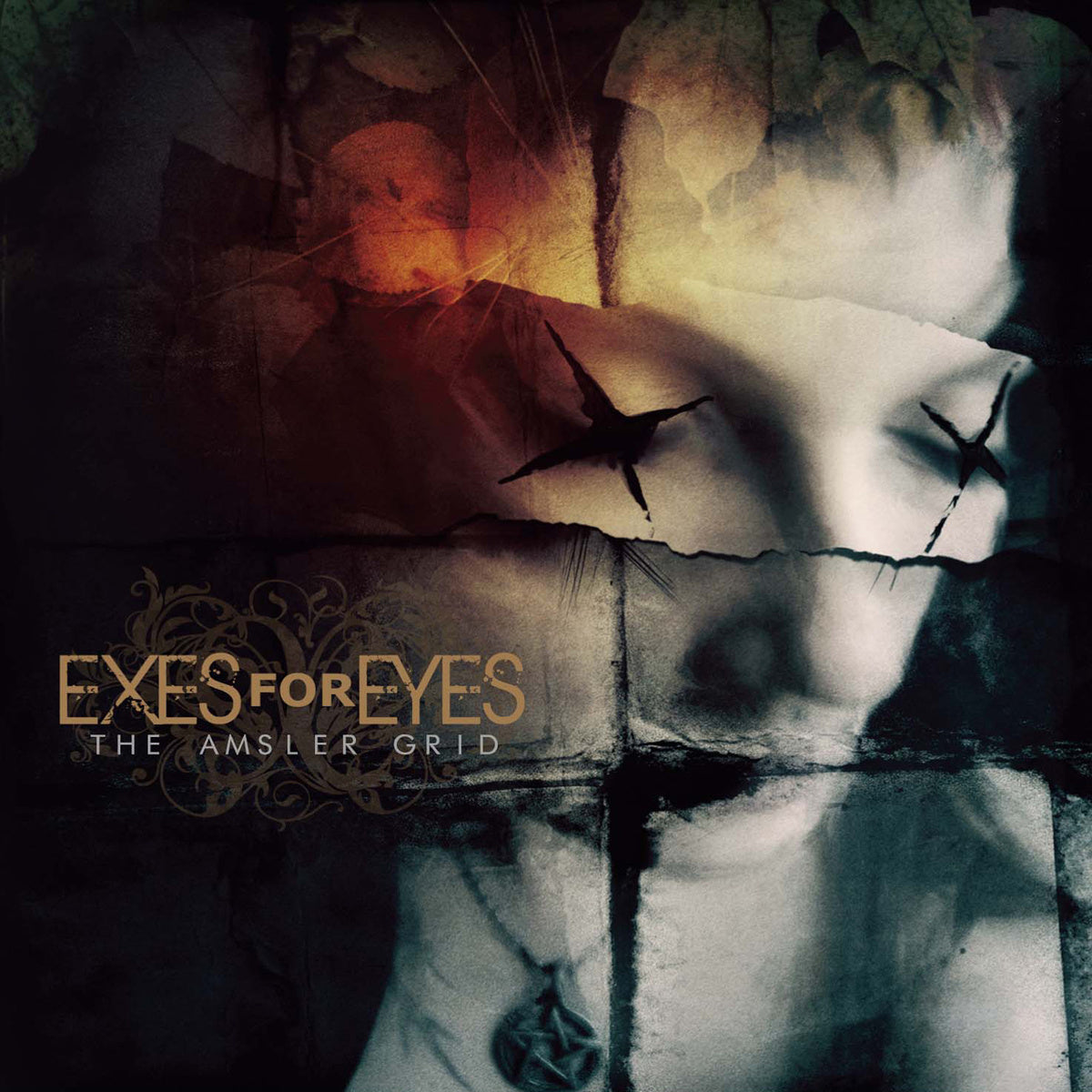 EXES FOR EYES  - AMSLER GRID