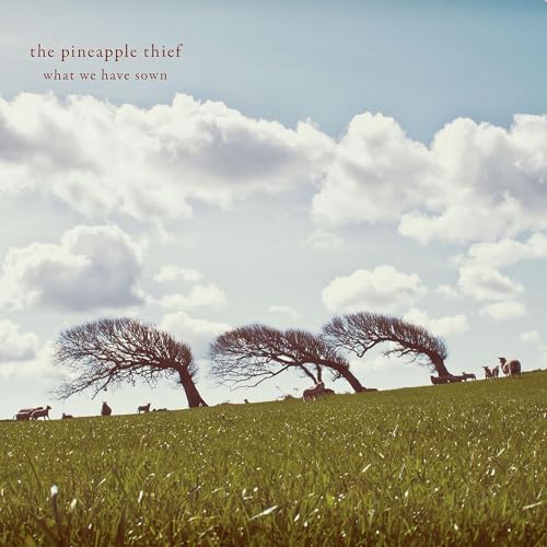 PINEAPPLE THIEF  - WHAT WE HAVE SOWN