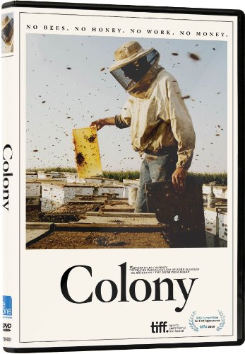 COLONY