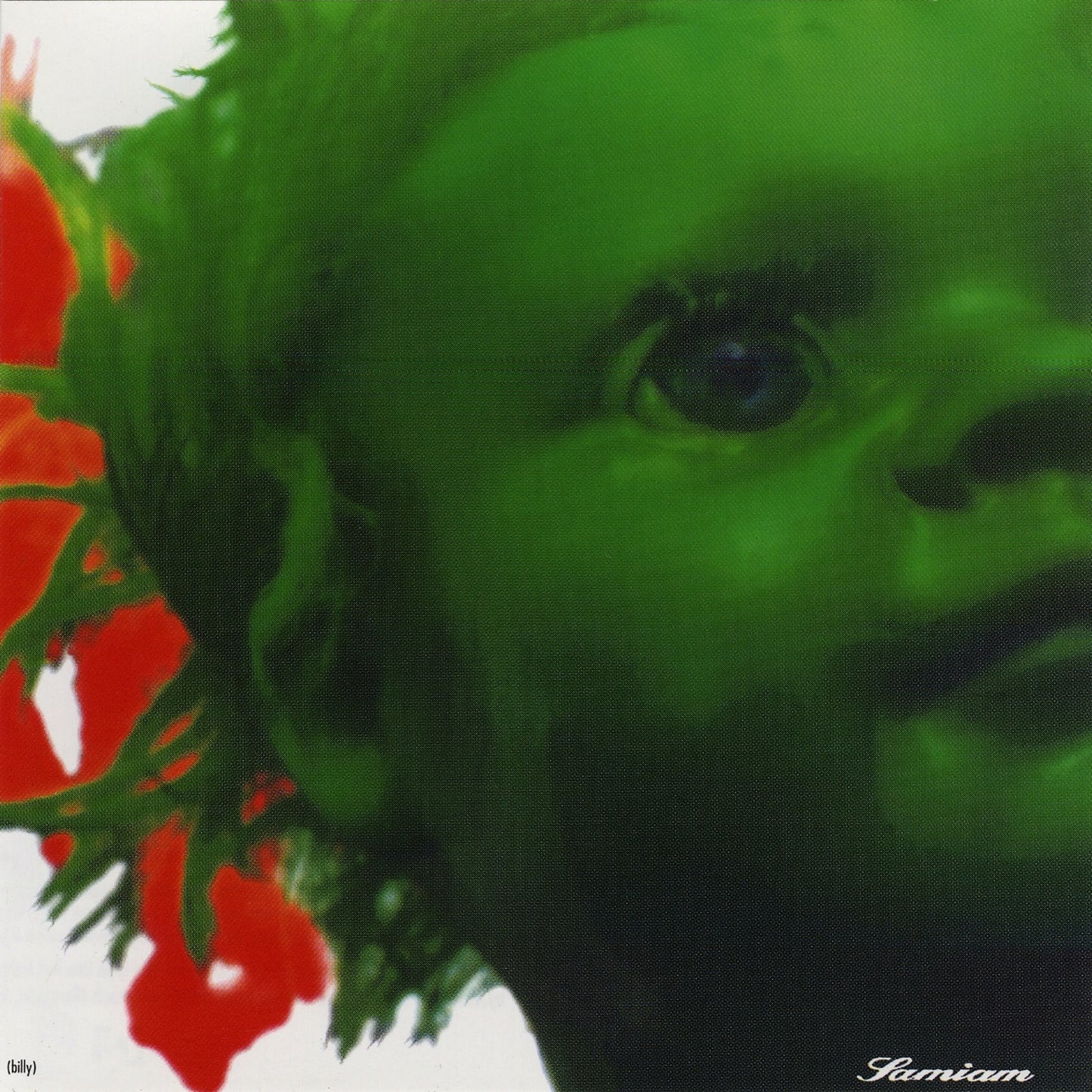 SAMIAM  - BILLY