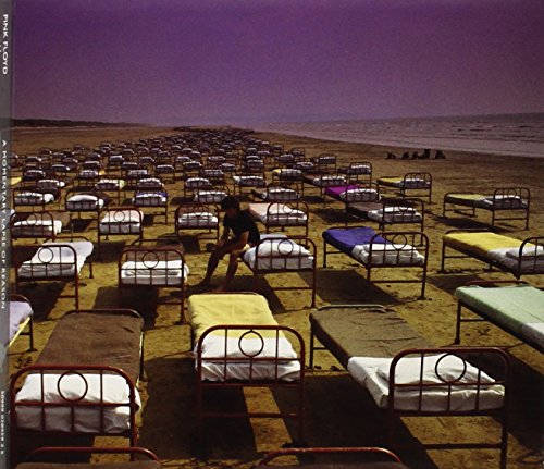 PINK FLOYD - A MOMENTARY LAPSE OF REASON