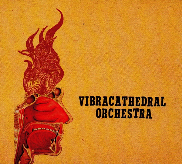 VIBRACATHEDRAL ORCHESTRA  - WISDOM THUNDERBOLT
