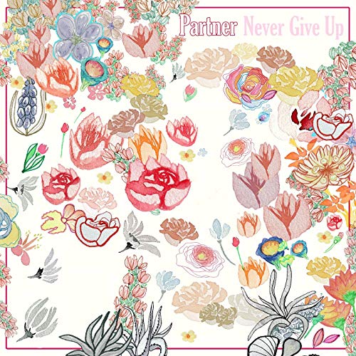 PARTNER - NEVER GIVE UP (DL CARD) (VINYL)