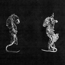 B├ñLZEM├ñD - VERSCHLEI├ƒ DURCH ABRIEB [CD]